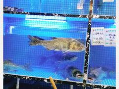 -姜君·千岛湖鱼头馆(浦东大道店)