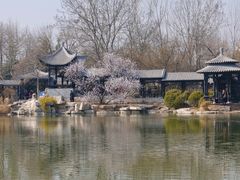-桃花堤公园