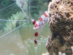 -太平洋海底世界