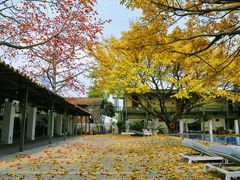 -喜洲吧·江畔老船厂·庭院餐厅(喜临院店)