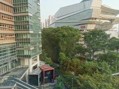 -新加坡柏薇罗切斯特酒店