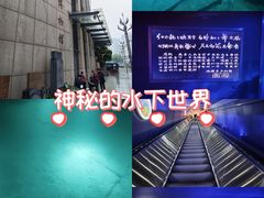 -白鹤梁水下博物馆