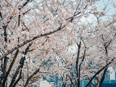 -龙美术馆(西岸馆)