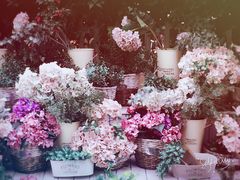 -苏小糖(鼓浪屿三丘田花园店)