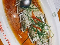 -丹江渔村(望京店)