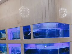 -隆聚·时令海鲜(洪兴店)