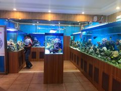 门面-御唐府海珊瑚主题餐厅