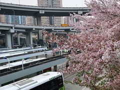 -上海南浦大桥长途旅游客运站