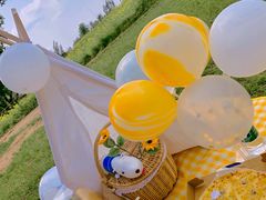 -长白岛森林公园