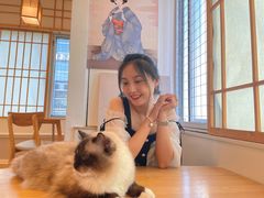 -Let's go狗咖·猫咖·奶狗·桌游(春熙路IFS店)