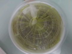 -小杨生煎(乐坊虹井店)