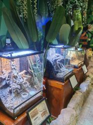 -酷嗒动物文化乐园(cutezoo西溪乐天城店)