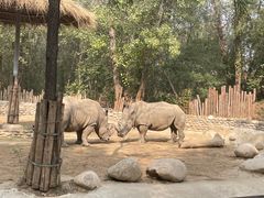 -北京野生动物园