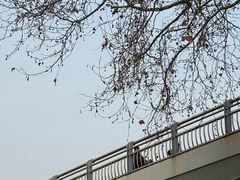 -吾家香港烧腊专门店