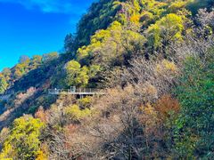 -少华山国家森林公园
