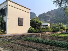 -明仕田园