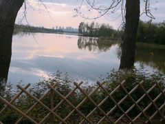 -洋湖国家湿地公园
