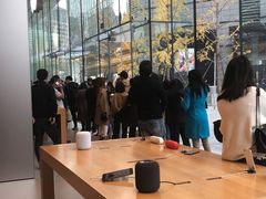 -Apple零售店(华贸购物中心店)