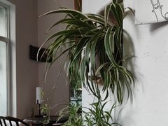 -花迹(富春江东街店)