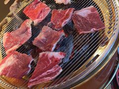-闻老头·菊花炭烤肉(D11店)