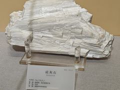 -湖南省地质博物馆