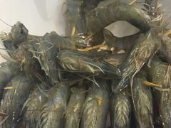 -渔傅·蓝海岸霞浦海鲜(正祥店)