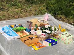 -天王浮山樱花园