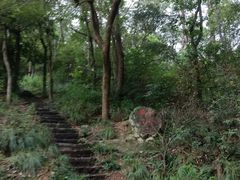 -青龙山国家森林公园
