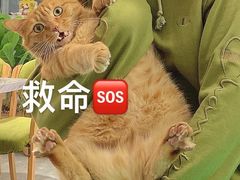-JOJO实景沉浸侦探剧本杀(大悦城店)