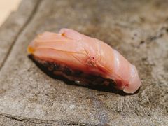 -银座岩
