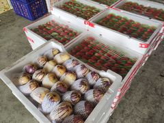 -西郊国际农产品交易中心