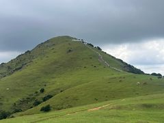 -大姆山草场