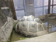 -保定市动物园