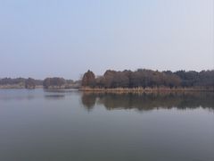 -苏州太湖国家湿地公园