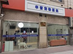 -申普宠物医院·眼科·心内科·影像科(普陀分院)