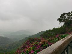 -广州市白云山风景名胜区