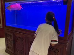 -海碗居老北京炸酱面(增光路店)