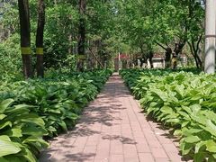 -黑龙江省森林植物园