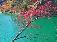 -叠溪松坪沟景区