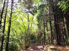 -东天目山风景区