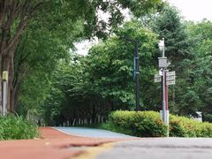 -大兴滨河森林公园