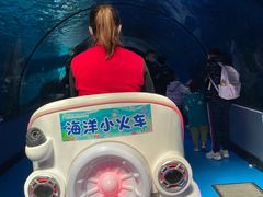 -泉城欧乐堡海洋极地世界