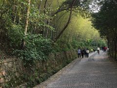 -紫金山天文台