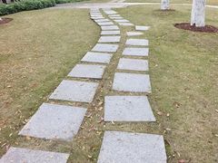 -重庆市江北嘴中央商务区中央公园