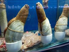 -海帮主·蒸汽海鲜青岛菜(栈桥火车站店)