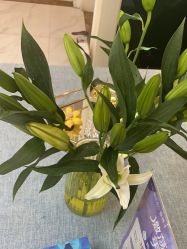 -静博士·养生养颜