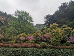 -阿哈湖国家湿地公园