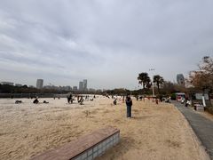 -滨湖塘西河公园