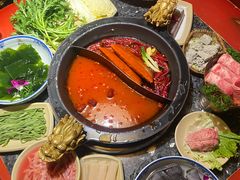 -蜀大侠火锅(总府路店)