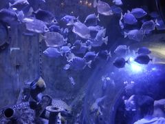 -成都浩海立方海洋公园